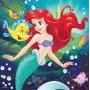 DINO Puzzle Disney Veselé princezny 3x55 dílků 18x18cm skládačka