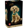 LEGO ICONS Štěně zlatého retrívra 11384 STAVEBNICE