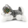 PLYŠ Pes husky 20cm ležící Eco-Friendly *PLYŠOVÉ HRAČKY*