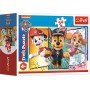 TREFL PUZZLE Tlapková Patrola Společná dobrodružství mini 20x13cm 54 dílků 4 druhy