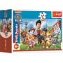 TREFL PUZZLE Tlapková Patrola Společná dobrodružství mini 20x13cm 54 dílků 4 druhy