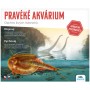 ALBI Pravěké akvárium experimentální vědecký set odchov živých listonohů