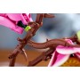 LEGO BOTANICALS Větvičky magnólie 11510 STAVEBNICE
