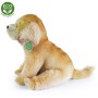 PLYŠ Pes labrador sedící 27cm labradorský retrívr Eco-Friendly *PLYŠOVÉ HRAČKY*
