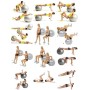 MERCO Míč Anti Burst overball 65cm modrý fitness gymball rehabilitační