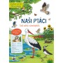 JIRI MODELS Svět zvířat v samolepkách Naši ptáci