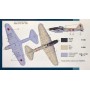 SMĚR Model letadlo Iljušin IL -2 HI Te 1:72 (stavebnice letadla)