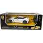 RC Auto na vysílačku 2,4GHz 1:24 na baterie Světlo 4 druhy