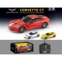RC Auto na vysílačku 2,4GHz 1:24 na baterie Světlo 4 druhy