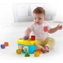 FISHER PRICE Baby moje první vkládačka set kyblík + 10 kostek plast pro miminko