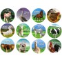 Zvířátko domácí farmářské malé 3-6cm plastová figurka 12 druhů