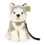 PLYŠ Pes husky 28cm Eco-Friendly *PLYŠOVÉ HRAČKY