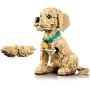 LEGO ICONS Štěně zlatého retrívra 11384 STAVEBNICE