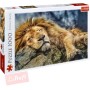 TREFL PUZZLE Foto Spící lev 1000 dílků 68x48cm skládačka 110447