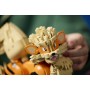 LEGO POKÉMON Arcanine 72160 STAVEBNICE