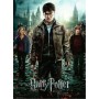 RAVENSBURGER Puzzle XXL 300 dílků Harry Potter 36x49cm skládačka