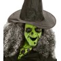 KARNEVAL Maska čarodějnice zelená plastová *KARNEVALOVÝ DOPLNĚK*