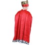 KARNEVAL Plášť královský dětský (104-136cm) 3-7 let *KOSTÝM*