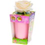 Miminko Babyblooms 13cm panenka květina v květináči 2v1 12 druhů