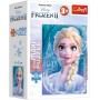 TR PUZZLE MiniMaxi Frozen 2 (Ledové Království) 16x22cm 20 dílků 4 druhy