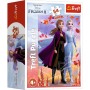 TREFL PUZZLE Frozen 2 (Ledové Království) mini 20x13cm 54 dílků 4 druhy