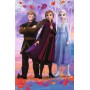 TREFL PUZZLE Frozen 2 (Ledové Království) mini 20x13cm 54 dílků 4 druhy