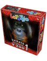 EFKO HRA Lototrio Zvířata v ZOO 1 dětské vzdělávací hry