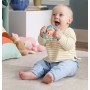FISHER PRICE Baby kousátko / chrastítko zvířátko 3 druhy pro miminko